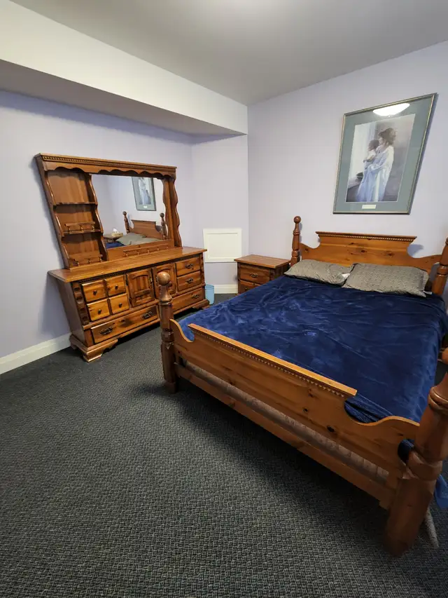 Basement suite for rent with shared access in Room Rentals & Roommates in Sarnia - Image 4