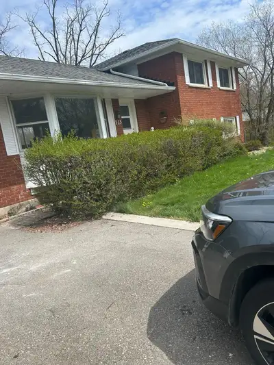 Beautiful renovated walkout basement Featuring • Open-concept layout with wood flooring throughout •...