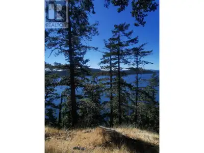 At the end of a private road, is a south-facing view, high bank, treed, 3.72 acre, waterfront lot. C...