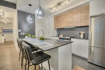 3 1/2 1451 AV Gascon-TERREBONNE, Voir plus