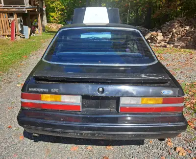 1985 MUSTANG : Black , this car has a 1991 Mercury Capri 5.0 L converted to carborator . Top mechani...