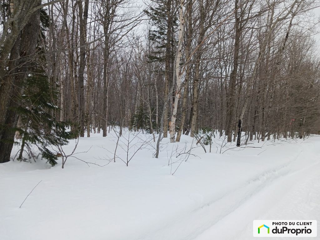 $64,990 - Residential Lot for sale in St-Fabien-De-Panet — photo 3