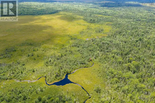 TBD Canada Hill Road Allendale, Nova Scotia in Land for Sale in Yarmouth - Image 13