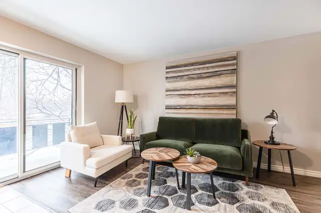 $500 Move-in bonus | Newly Renovated One Bedroom Near Wortley/DT62863311120257123