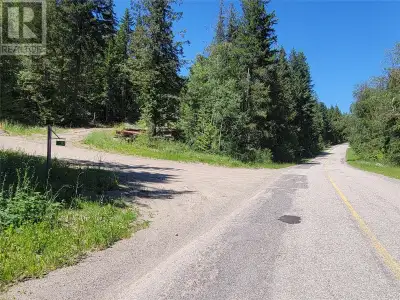 Beautiful acreage, Not in the ALR, 19.55 acres, backing onto Crown land for fantastic Hunting/Sleddi...