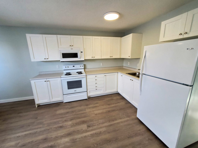 Bright 2 Bedroom Unit By Red Deer College!! in Long Term Rentals in Red Deer - Image 3