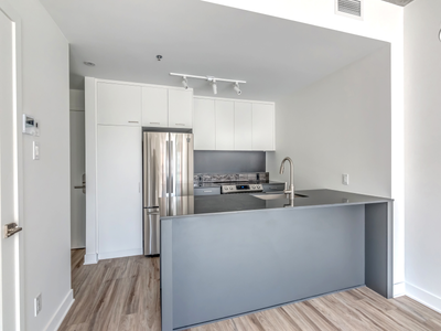 3.5-1 bedroom condo for rent-Apartments GRIFFINTOWN-McCord, View more