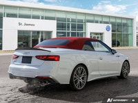 * Dynamic Package: Sport Differential, Adaptive Damping Suspension, Red Brake Calipers * Audi Laser... (image 4)