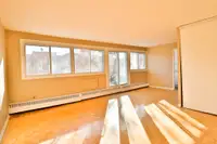 1 Bedroom Centretown!  All Inclusive, Golden Triangle