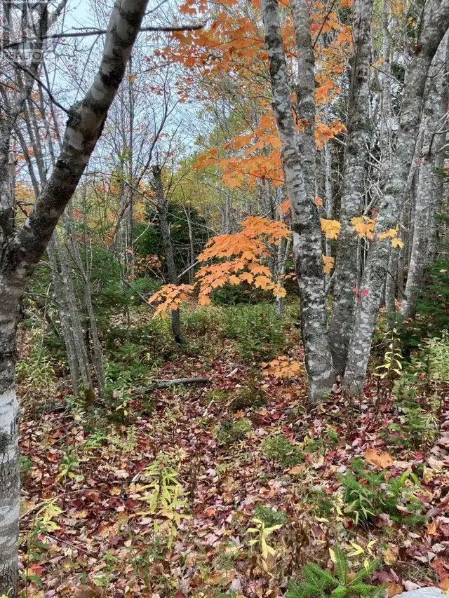 Pinevale Road Dunmore, Nova Scotia in Land for Sale in New Glasgow - Image 9