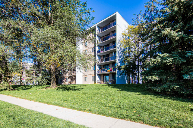 1 Bedroom Apartment for Rent - 225/245 Westwood Road in Long Term Rentals in Guelph - Image 3