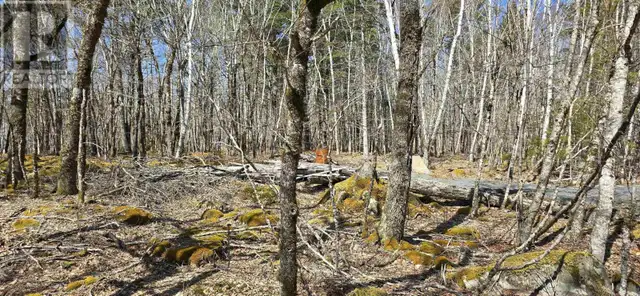69 Sparkling Spring Lane Labelle, Nova Scotia in Land for Sale in Bridgewater - Image 6