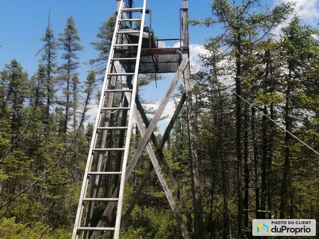 $195,000 - Wood Lot for sale in Lemieux — photo 2