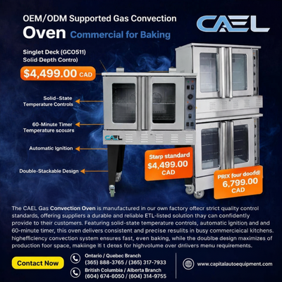 Le Fours à convection à gaz CAELCette gamme comprend des fours professionnels haute performance conç...