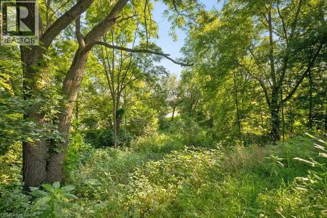 48 MISTY RIVER Drive Conestogo, Ontario in Houses for Sale in Kitchener / Waterloo - Image 37