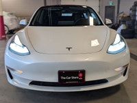 2020 Tesla Model 3 Long Range Dual Motor No Accidents| FULL TESLA WARRANTY DEC/2027, POWERTRAIN/BATT... (image 1)