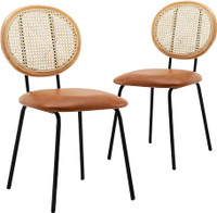 Kitchen Dining Chairs Set of 2 with Rattan Backrest