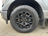 This Ford F-150 delivers a Regular Unleaded V6 3.5 L EcoBoost engine powering this Automatic transmi... (image 3)