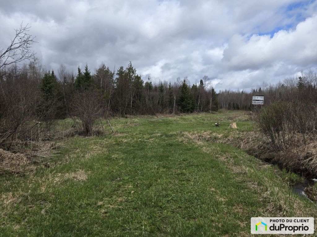 $250,000 - Commercial Wood Lot for sale in Ste-Praxède — photo 3