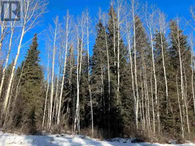 * PREC - Personal Real Estate Corporation. 131 acre property located between Smithers and Hazelton....