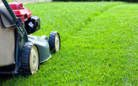 Grass Cutting Services