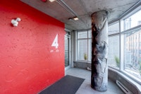 Plus de choix, plus de confort, à portée de main ! Découvrez nos locations d'appartements adaptées à... (image 8)