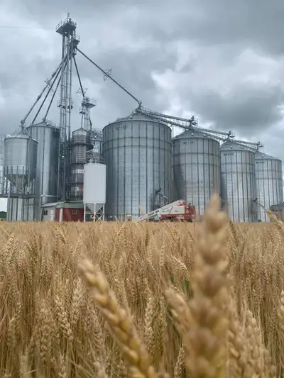 Hiring Now- Farm Labourer/Elevator Support (Alvinston, Ontario), View more