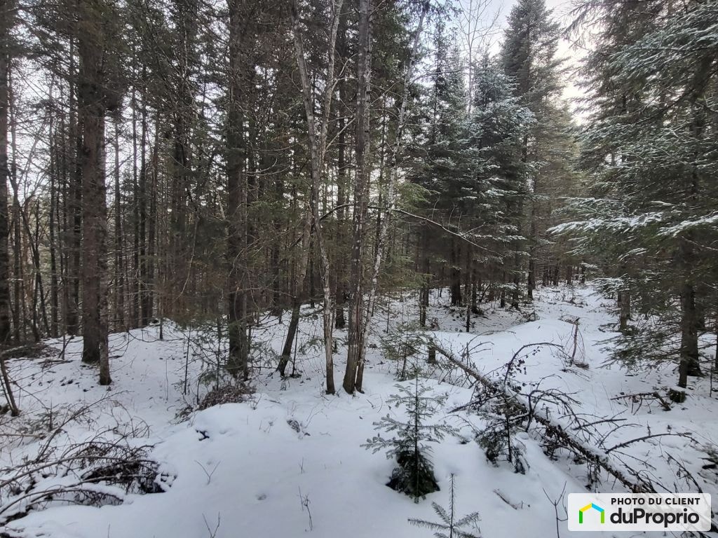 $55,000 - Residential Lot for sale in Lac-Aux-Sables — photo 1