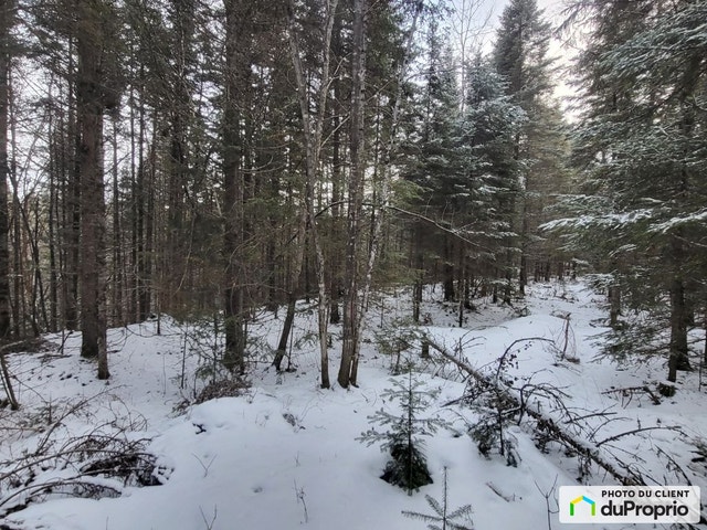 $55,000 - Residential Lot for sale in Lac-Aux-Sables — photo 1