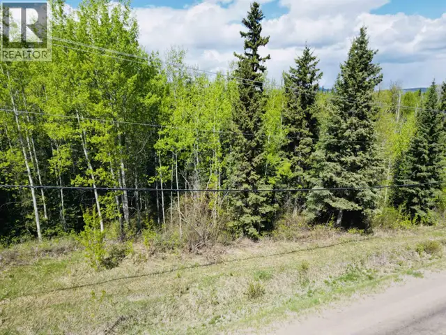 LOT 3 KEEFES LANDING ROAD Burns Lake, British Columbia in Land for Sale in Burns Lake - Image 18