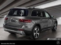 DP1 - Premium Package - Smartphone Integration - Apple CarPlay - Google Android Auto - Blind Spot As... (image 4)