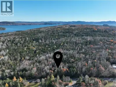 Discover the possibilities with this 17.84 acre parcel in Oak Haven. Conveniently located just a 12-...