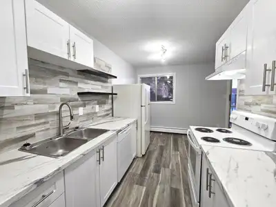 AMAZING FULLY RENO'D Apartment in Lacombe! CATS OK!
