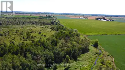 Discover the untouched natural beauty of this stunning 19.5-acre property in the heart of Wellington...