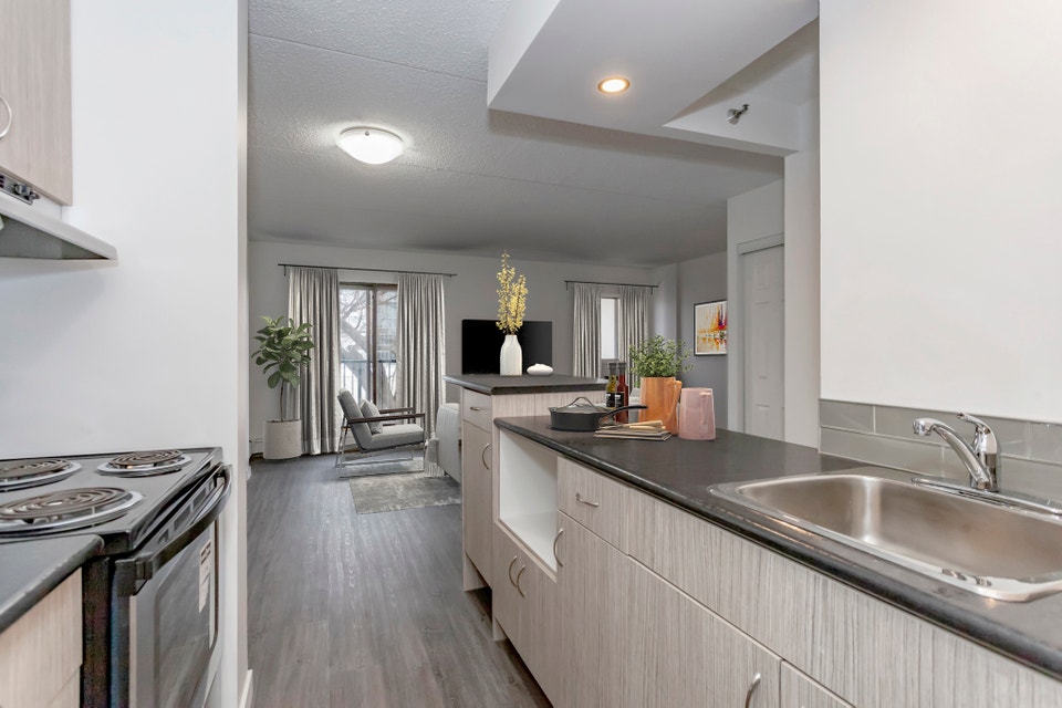 One Bedroom Suite Available in City Park 4