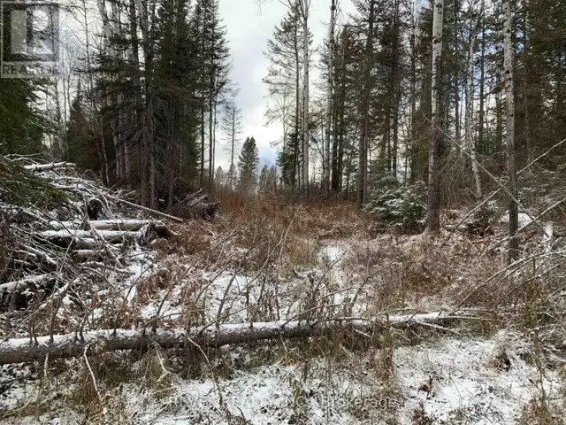 PCL8547 HWY 101 HIGHWAY W Timmins (TCTDAR Outside), Ontario in Land for Sale in Timmins - Image 3