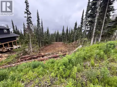 Here is a beautiful, cleared lot on Hudson Bay Mountain, ready for your build. This property is loca...