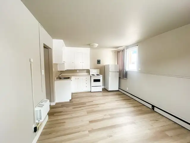 McNab Apartment For Rent | Alex 38 Apartments in Long Term Rentals in Regina - Image 10