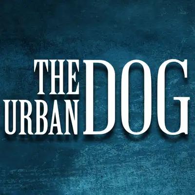 Dog Daycare Attendant - Permanent part-time position available, View more