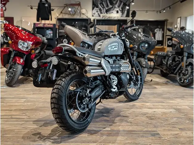 2025 Triumph Scrambler 1200 X // Ash Grey w/ Headlight Grill, Hi in Sport Bikes in Winnipeg - Image 12