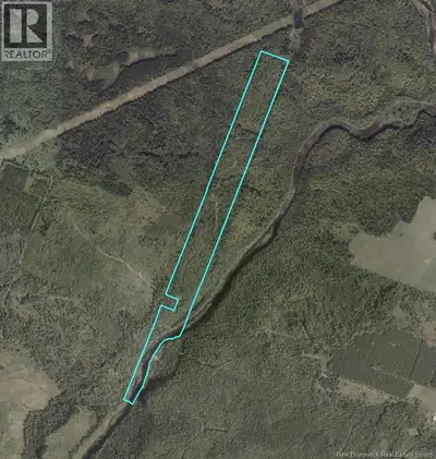 Discover your own slice of wilderness with this remarkable 64.42-acre property stretching along the...