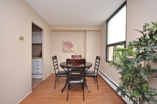 41 Cowie Hill Road - Terrace View Apartment for Rent in Long Term Rentals in City of Halifax - Image 2