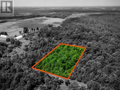 Welcome to the site of your future dream home in Glengarry! Nestled in the trees along beautiful Bea...