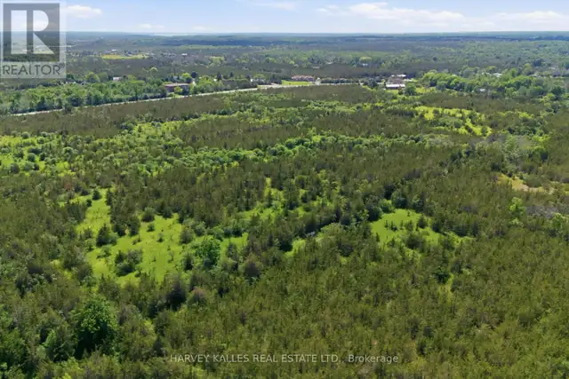 685 COUNTY 8 ROAD Prince Edward County (Hallowell), Ontario in Land for Sale in Belleville - Image 11