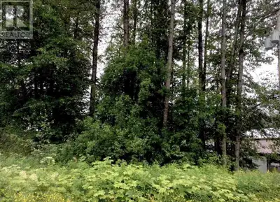 This 7,320 sqft vacant lot in Stewart, British Columbia offers a prime opportunity for development i...