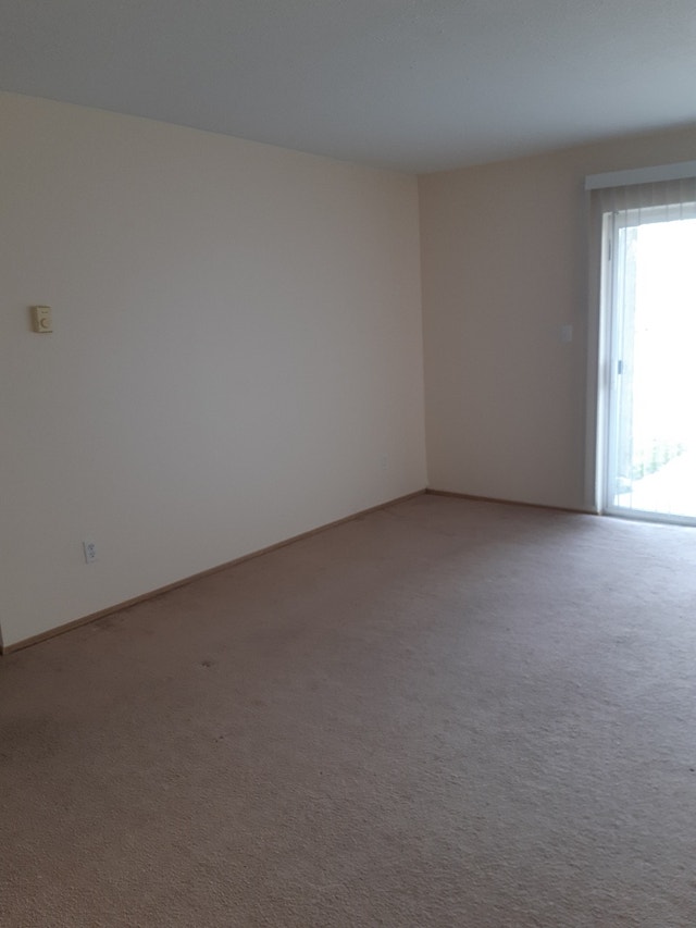 1 Bedroom Apartment Coming Available End of Dec Long Term Rentals