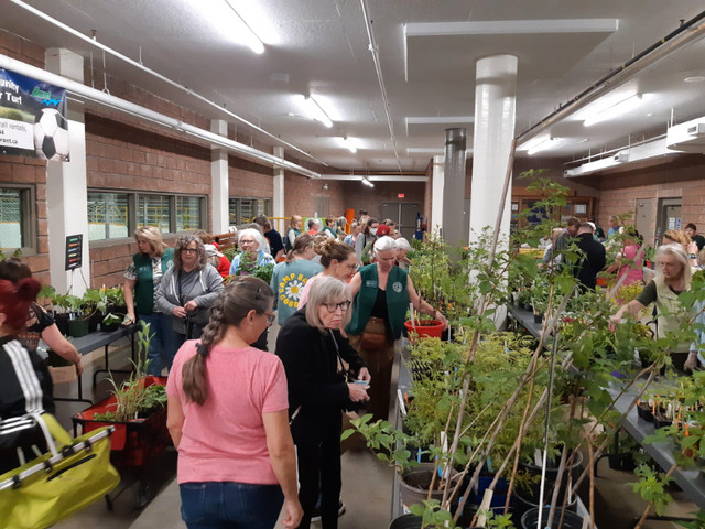 Paris Horticultural Society Plant Sale in Events in Brantford - Image 2