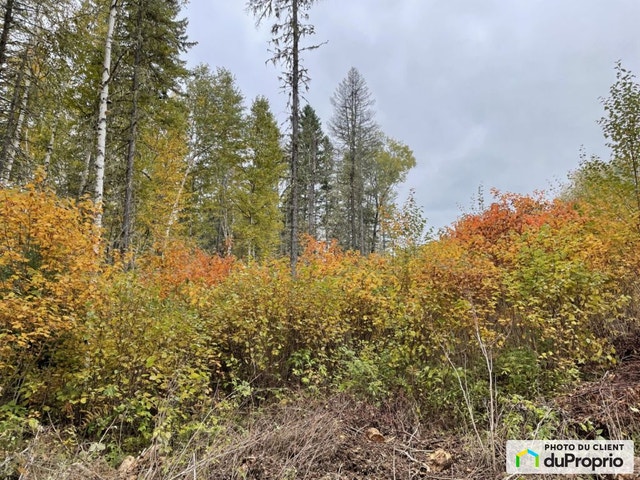 $110,000 - Residential Lot for sale in St-Michel-Des-Saints — photo 1