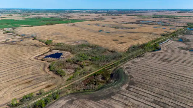 Productive Farmland | RM of Orkney # 244 | Near Willowbrook, SK in Land for Sale in Regina - Image 3