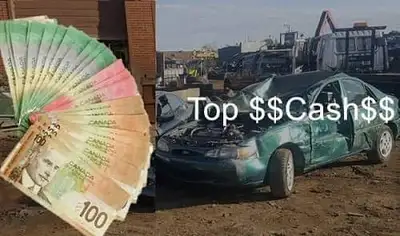 We Buy Scrap Cars, Junk Cars, Scrap Car Removal , Accident Cars, Damage Cars, Used Cars, Auto Scrap,...